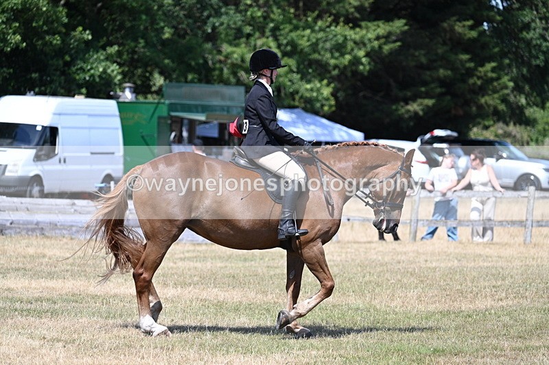 WJ7_3634 - Class 8 Ridden Veterans