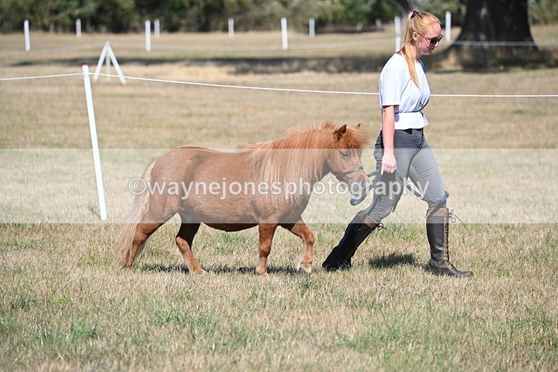WJ6_4403 - Class 17 Mountain & Moorland