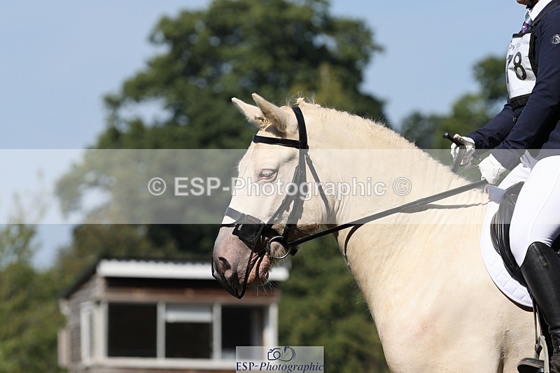 250823A-110449-27863 - Arena D