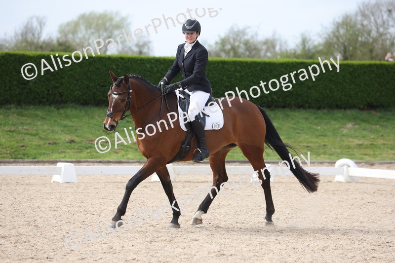 20260404-0831 - Class 5 - Novice 2