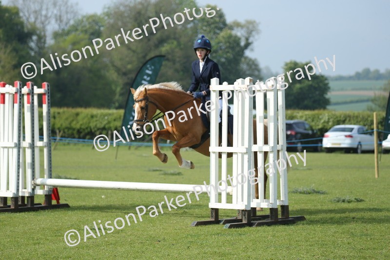 20260426-0161 - Class 13 - Rookie Jumping 50cm