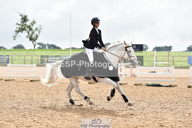 230902A-120826-00938 - Cls 2B Pony Small 80cm