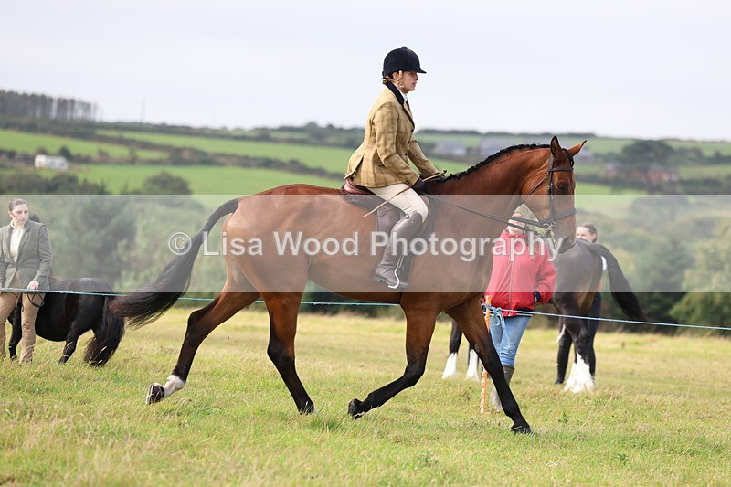 3E7A3916 - Class 4: Best Combination Open