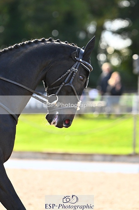 231021-144100-17898 - 342-STORM.IN.DECEMBER-Claire.Fielding-DR