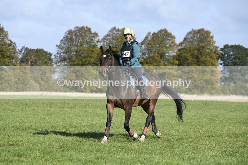 _DSC5036 - Time 10:27 to 10:48