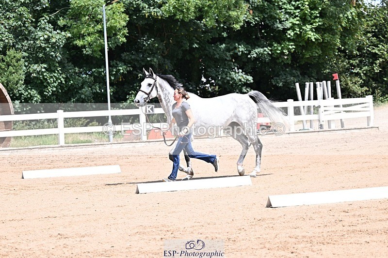 250716-124123-00114 - Trot Up 12.30 to 1.30