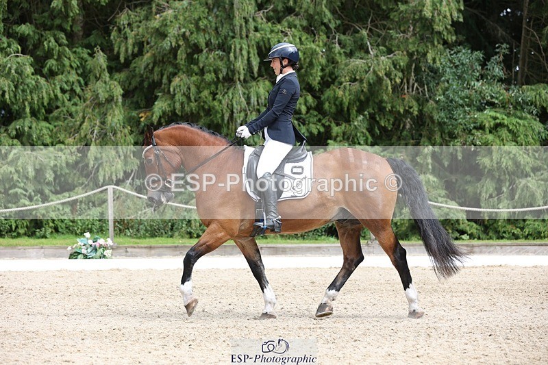 230812-151256-05083 - Cls 5 Novice Bronze 15.00 to End