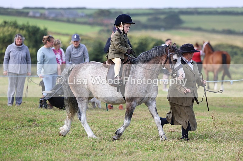 3E7A3378 - Class 2: Lead rein