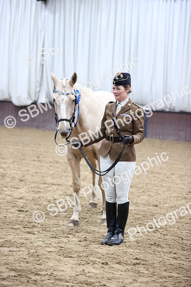 SBM_5226 - Class 39 - In Hand Gelding