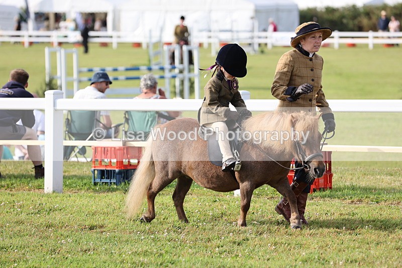 JPP_0155 - Class 14: Cornish Combination Leading Rein