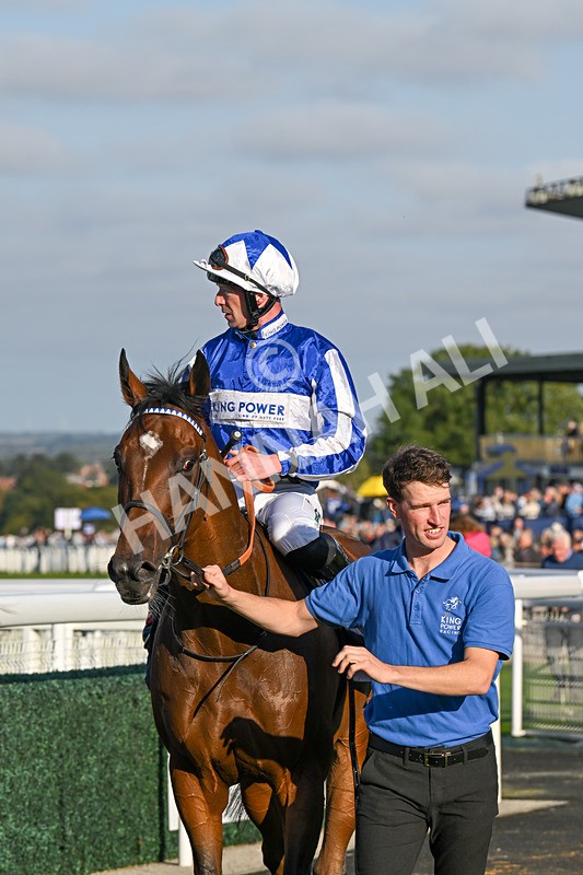 180924-Race 7-Fox Avatar-5276 - Race 7