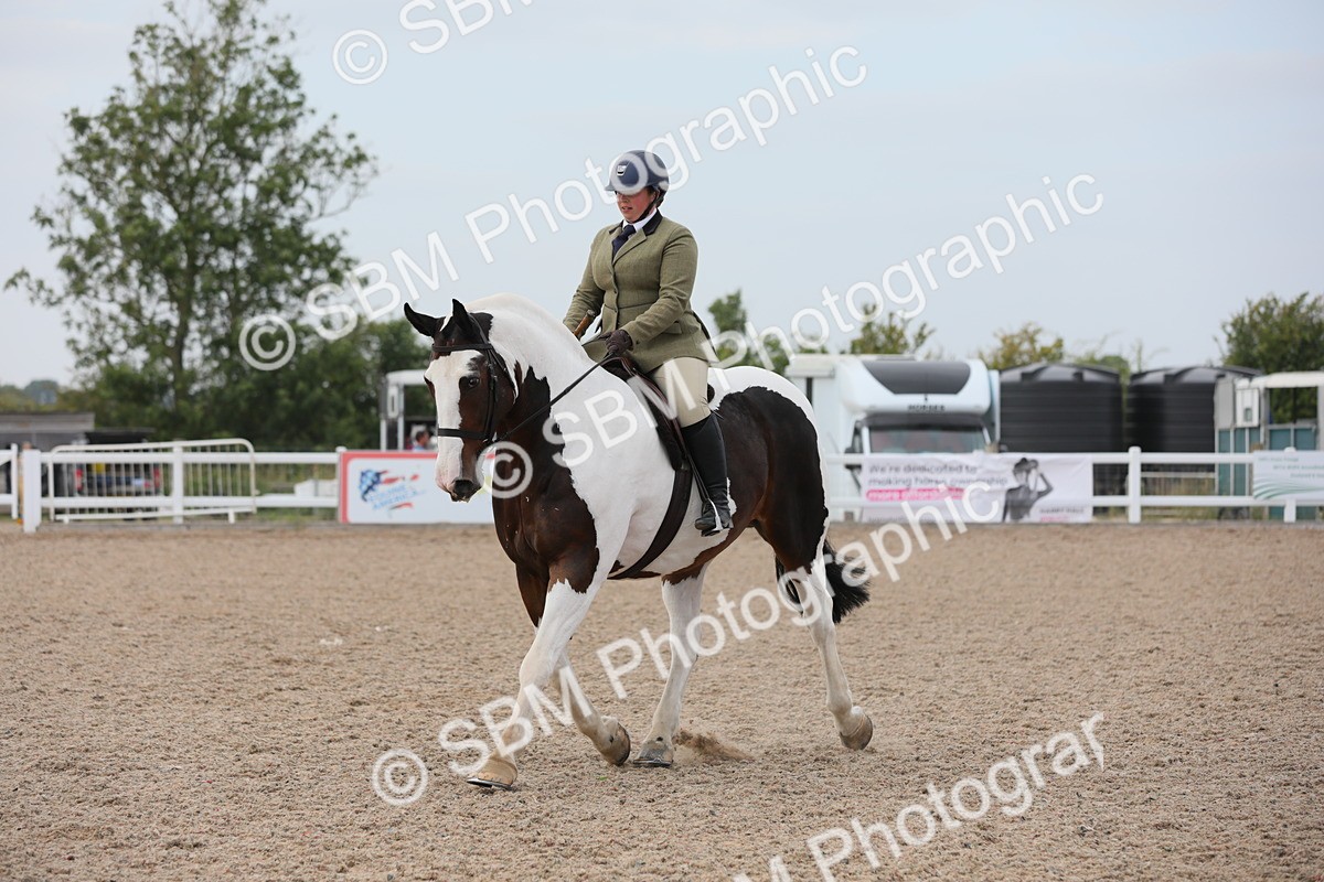 SBM_16880 - Class 314 Family Horse/Pony