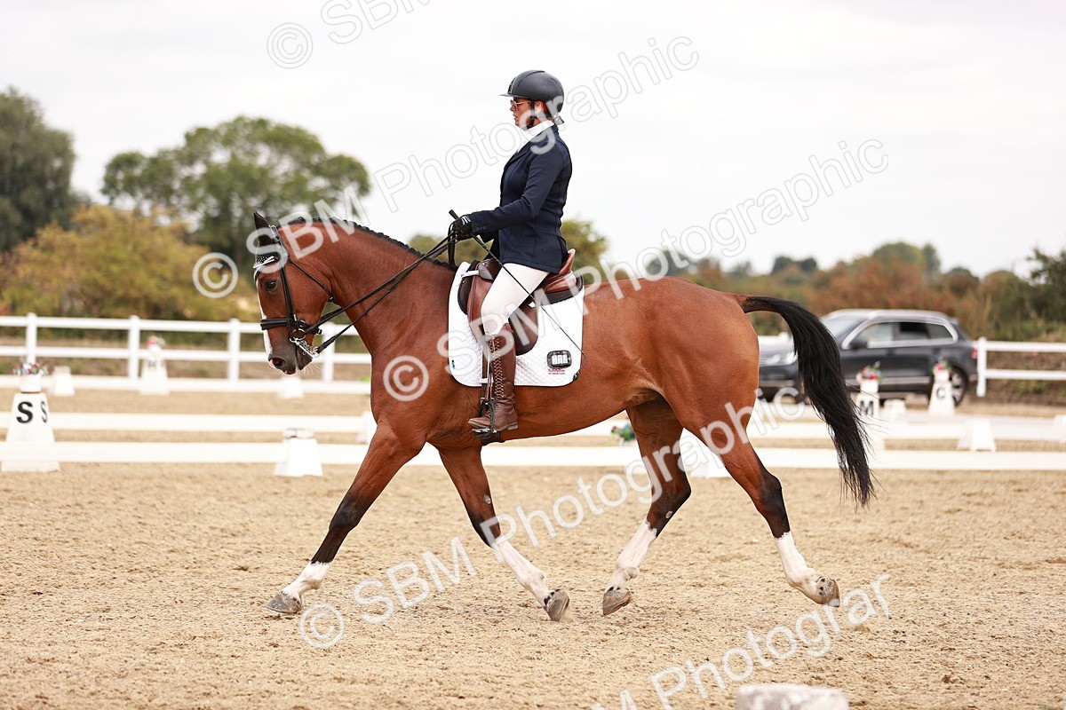 SBM_019241 - Class 20 - Medium 5