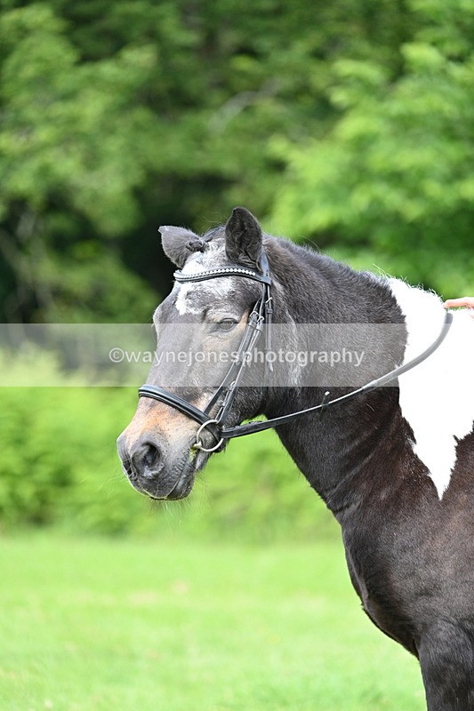WJ7_1656 - Class 11 Condition & Turnout