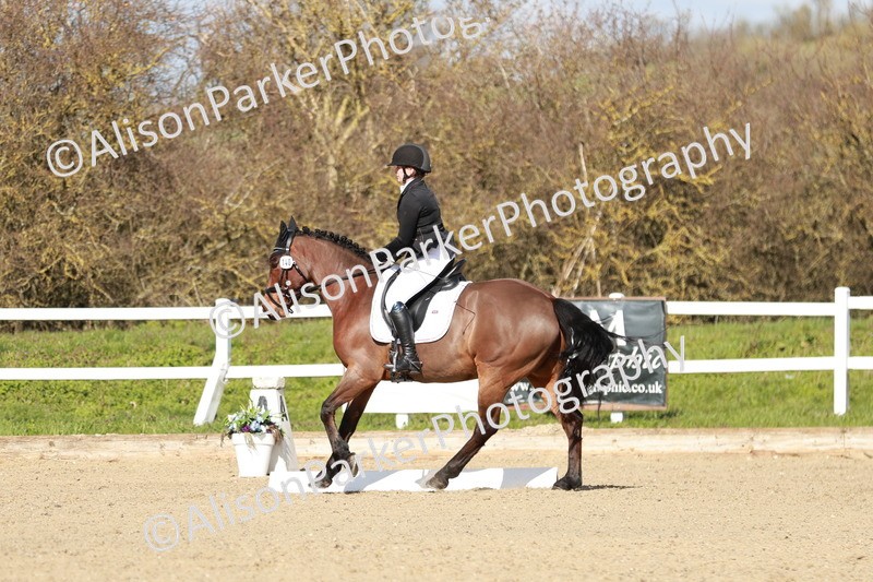 20260314-3085 - DR3 - Prelim 1