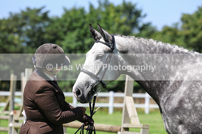 3E7A9054 - Class 6: Open Working Horse
