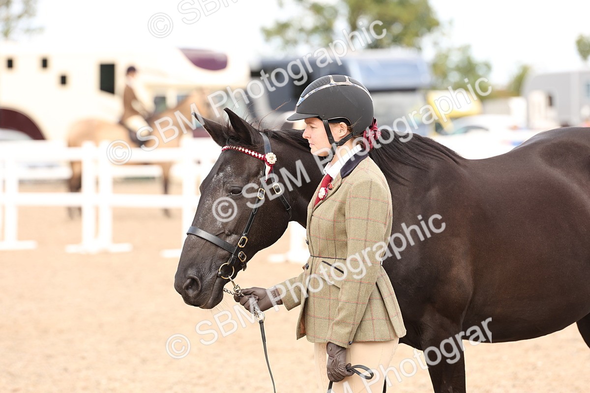 SBM_14705 - Class 208 - IH Veteran Horse