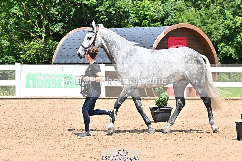 240718A-105310-01654 - Trot Up 1pm to 2pm