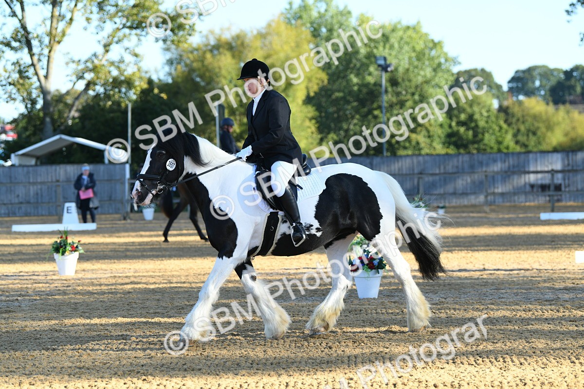 SBM_14441 - D4 - Small Tour Championship - Intro B