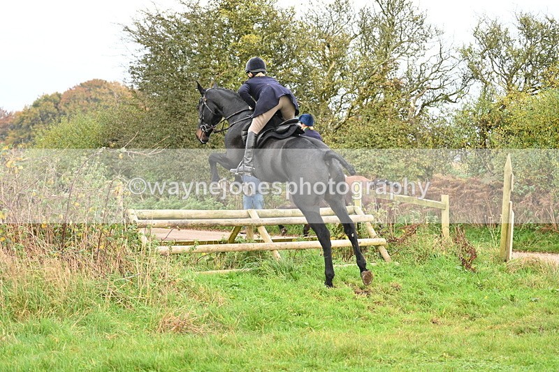 WJ7_0315 - Camera 1 & Last fence