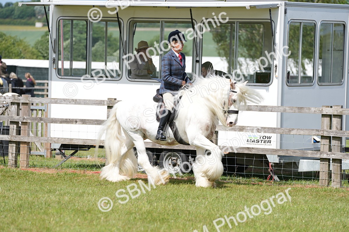 SBM_17115 - Class 107-108 - LIHS BSPS Performance Coloured Horse Pony