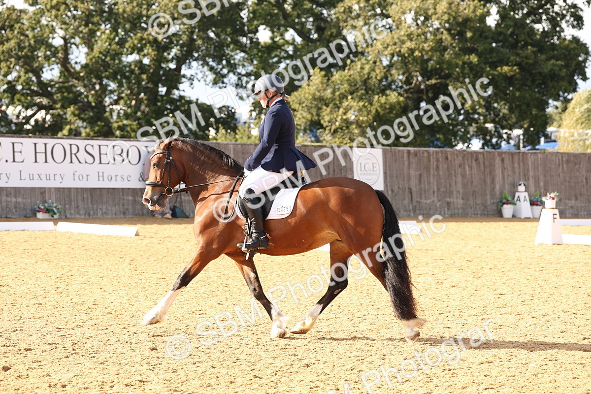 SBM_27008 - D17 - Grand Tour Championship Novice 3