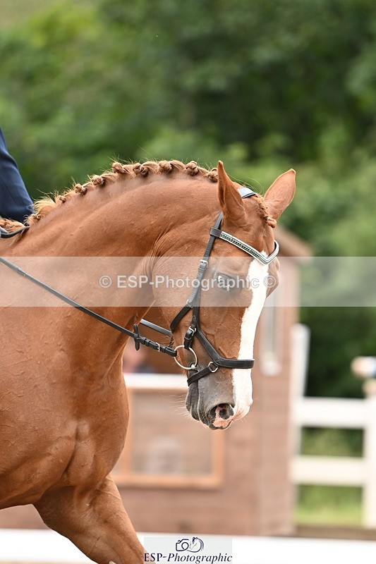 240817A-155435-10220 - 273-Melanie.Haslock-Minnie.I