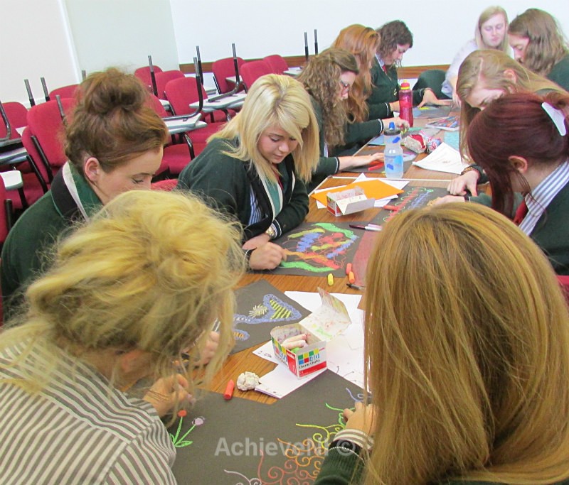  - Peer Mentoring 2014