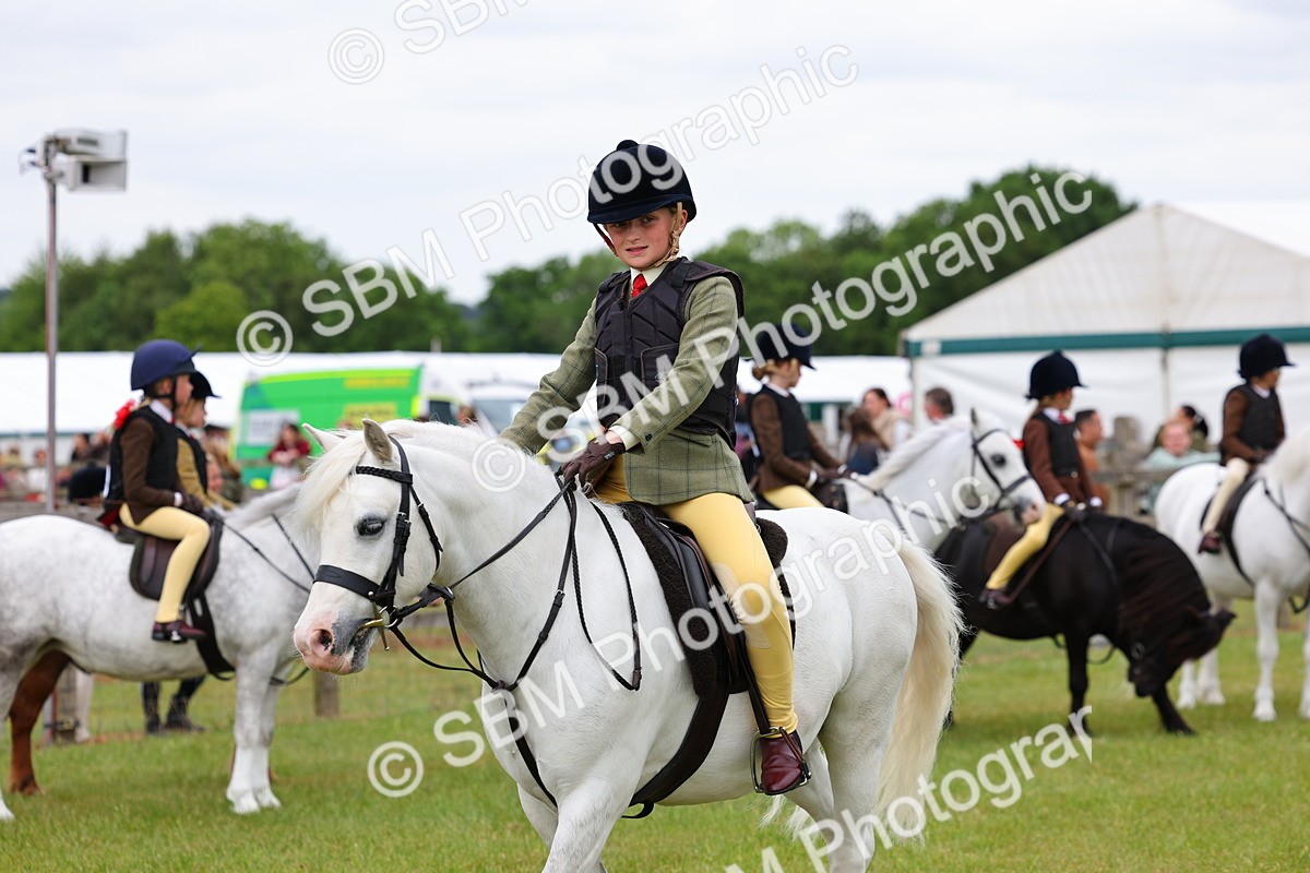 SBM_08754 - Class 42-43 - LIHS BSPS Heritage Working Sports Pony