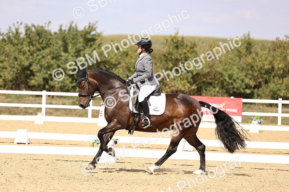 SBM_015027 - Class 6 - Elementary 5