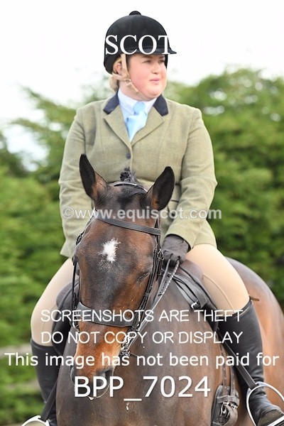 BPP_7024 - RING 1  (RIDDEN HORSES / IN HAND / VETERAN ETC)