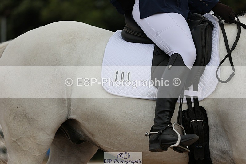 250621-101730-06190 - Cls 31 - Freestyle Elementary