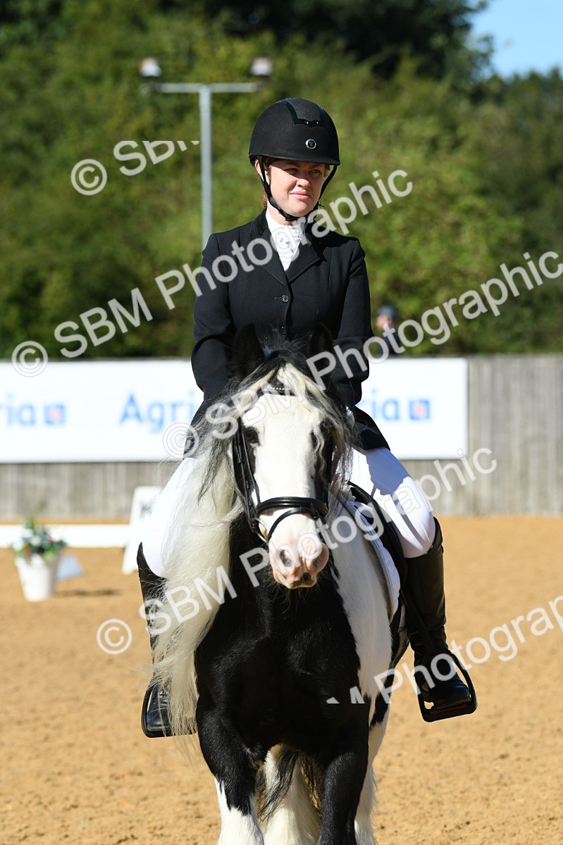 SBM_18051 - D4 - Small Tour Championship - Intro B