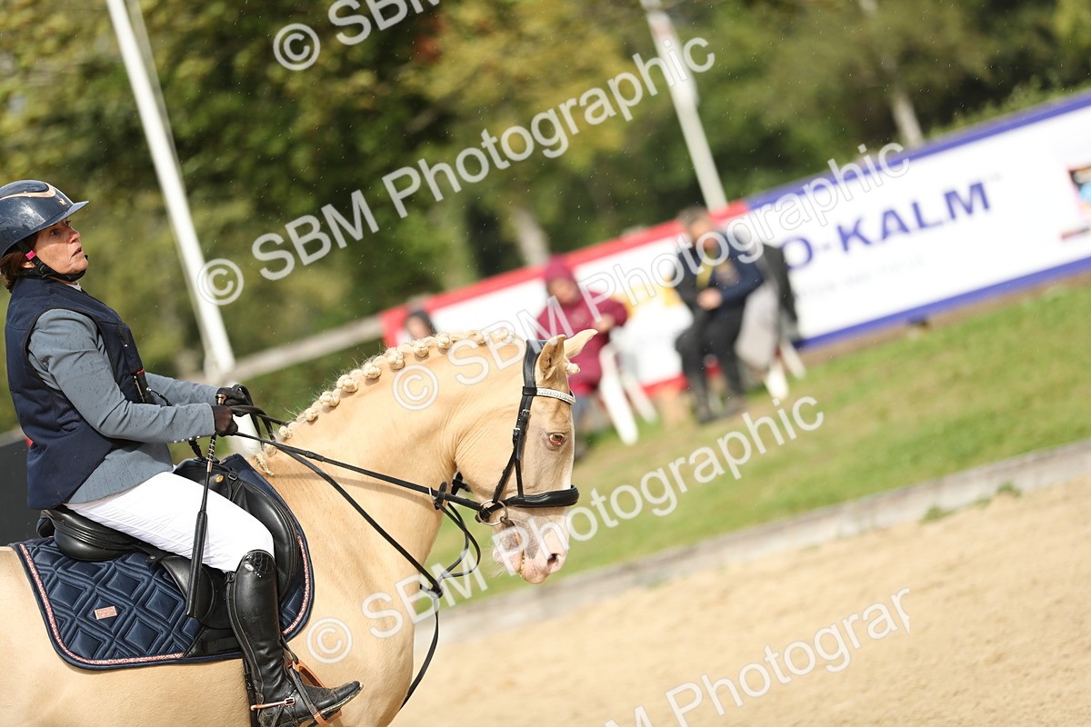 SBM_09893 - J36 - Veteran Rider 70cm