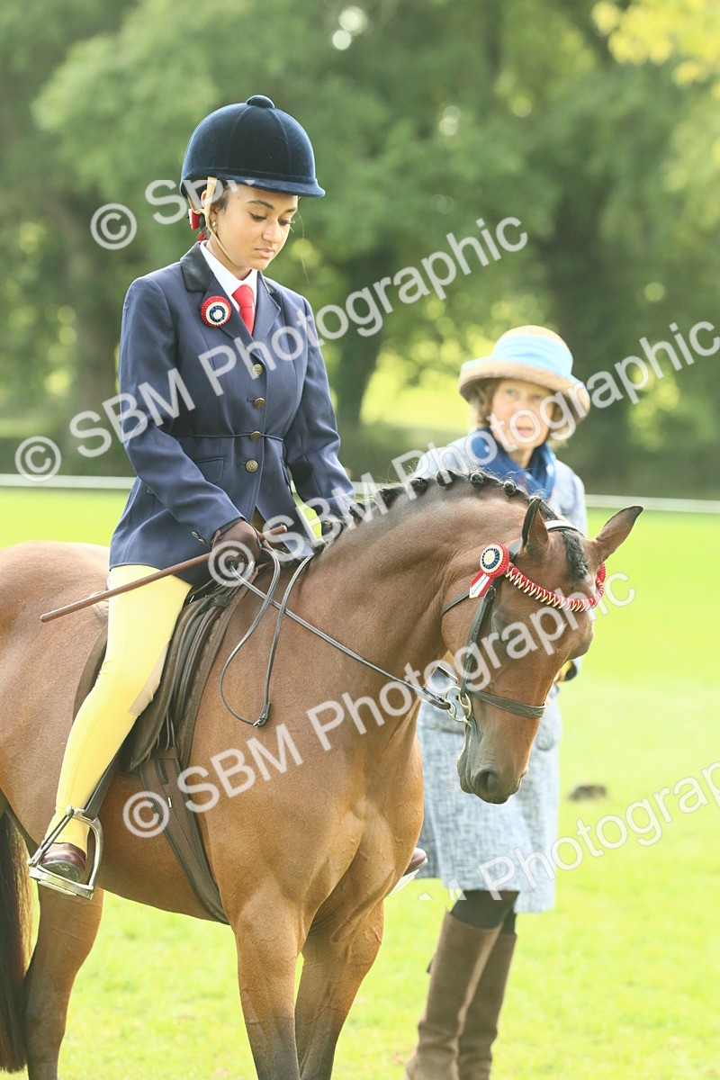 SBM_68080 - S57 - Part Bred Pony Ridden