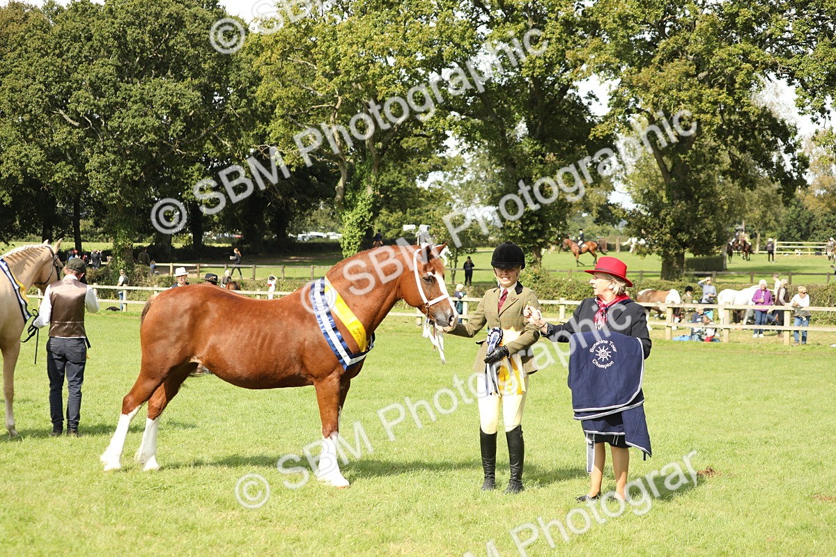 SBM_66371 - In Hand Pony & Youngstock Supreme Championship