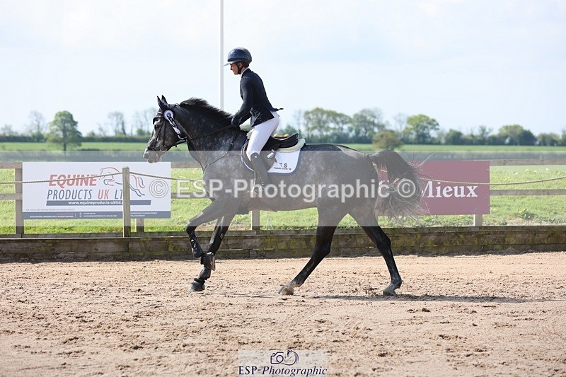 250427-102921-15360 - Cls 32 Young Horse 6yr old