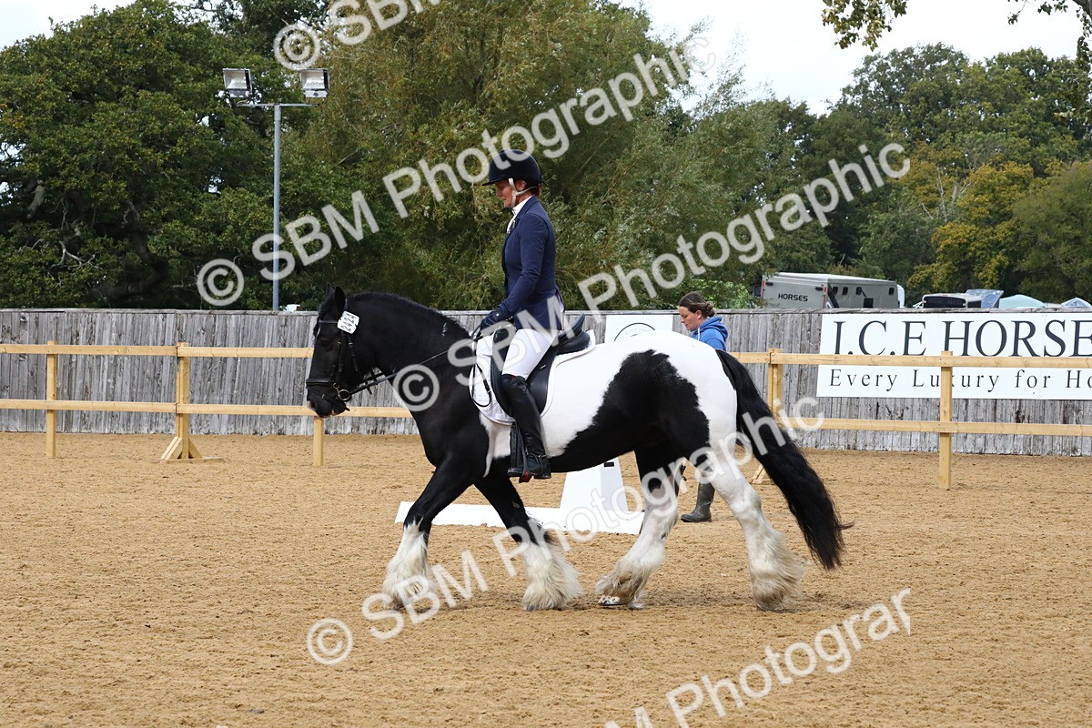 SBM_21015 - D5 - Small Tour Championshop Intro 2