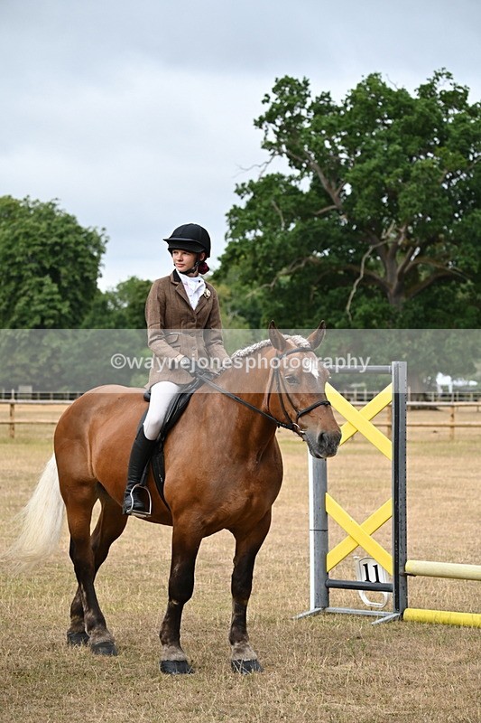 WJ6_7604 - Class 9 Tack and Turnout