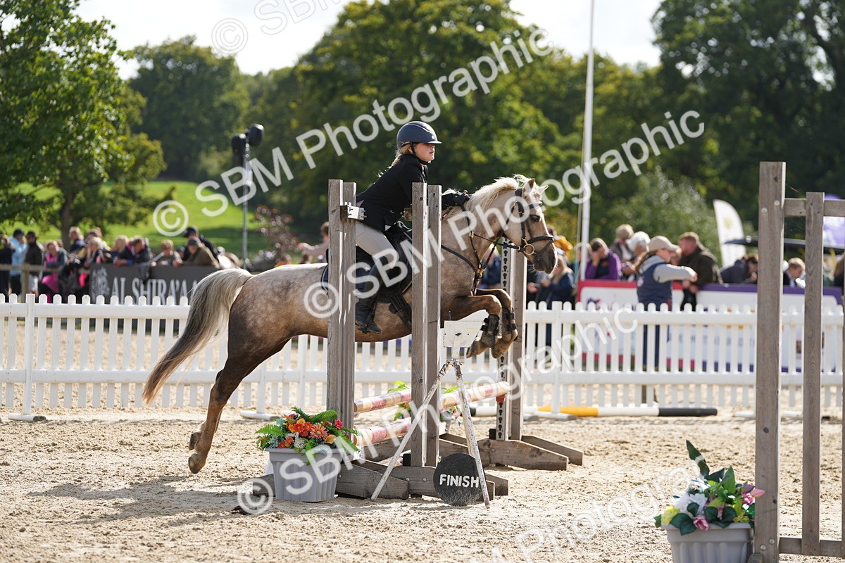 SBM_48549 - J7 - Junior Pony 60cm Championship
