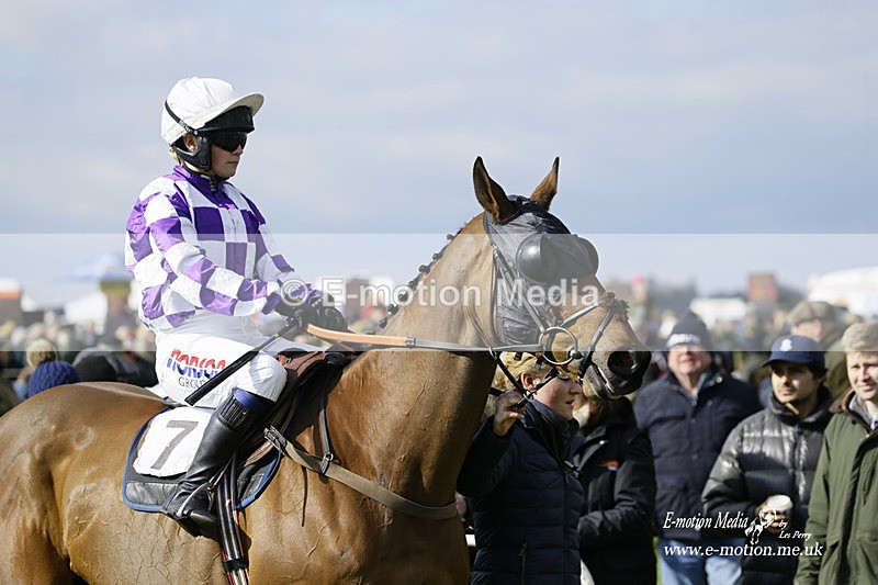 PtP 060322 229 - Blackmore & Sparkford Vale Hunt PtP 06/03/22