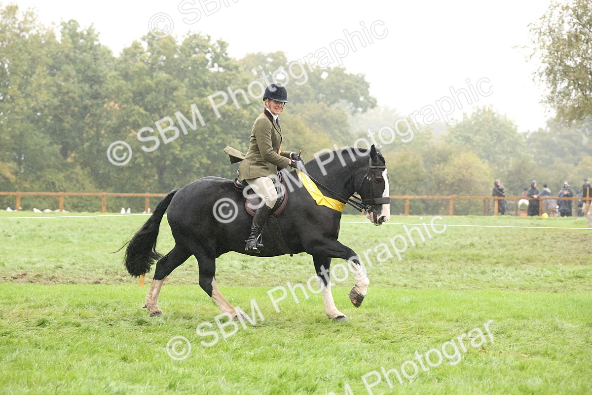 SBM_72918 - Ridden Horse Supreme Championship