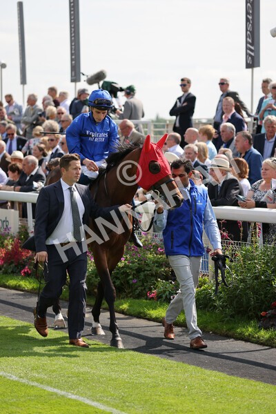 yr18082021r3-21 - Race 3 3.00pm Sky Bet Great Voltigeur Stakes