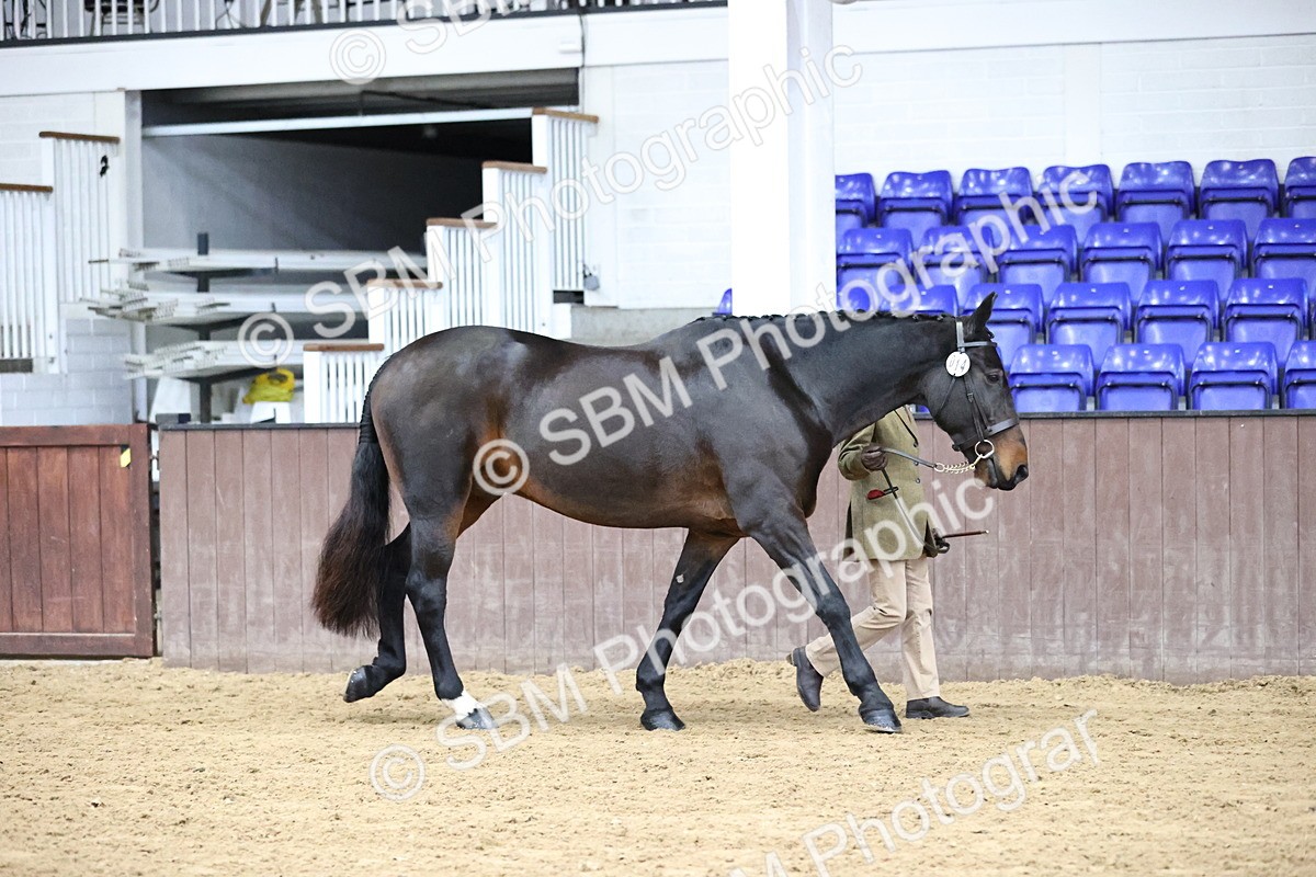 SBM_5602 - Class 40 - RESS In Hand Qualifier