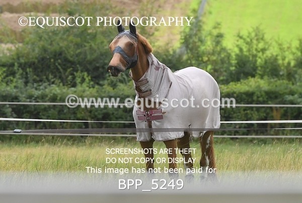 BPP_5249 - CLASS 12 Senior Discovery/ 1m Open