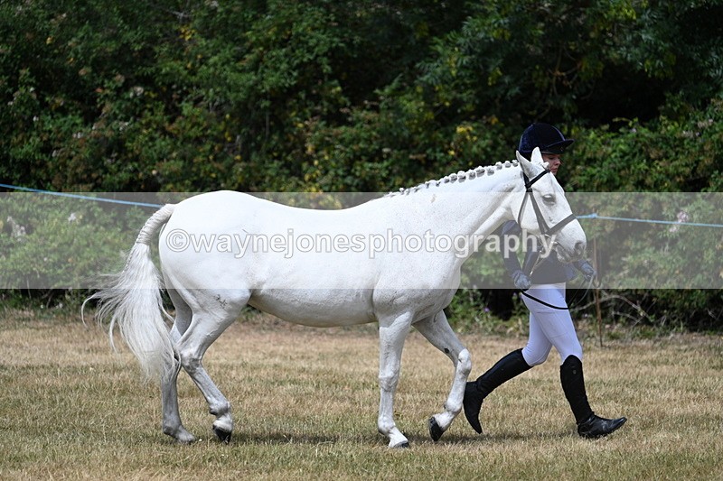 WJ7_1623 - Class 4 Prettiest Mare up to 14.2hh in hand
