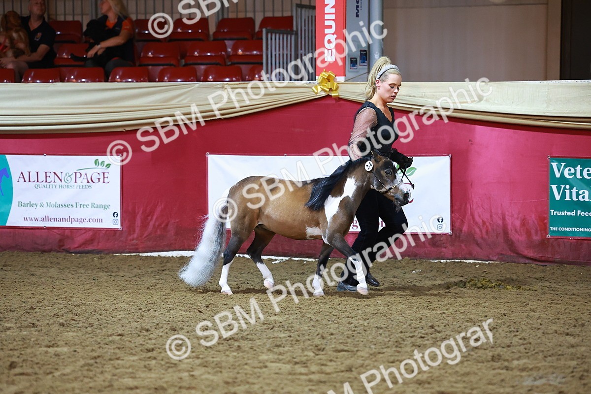 SBM_14886 - Class F - IH Small Champ