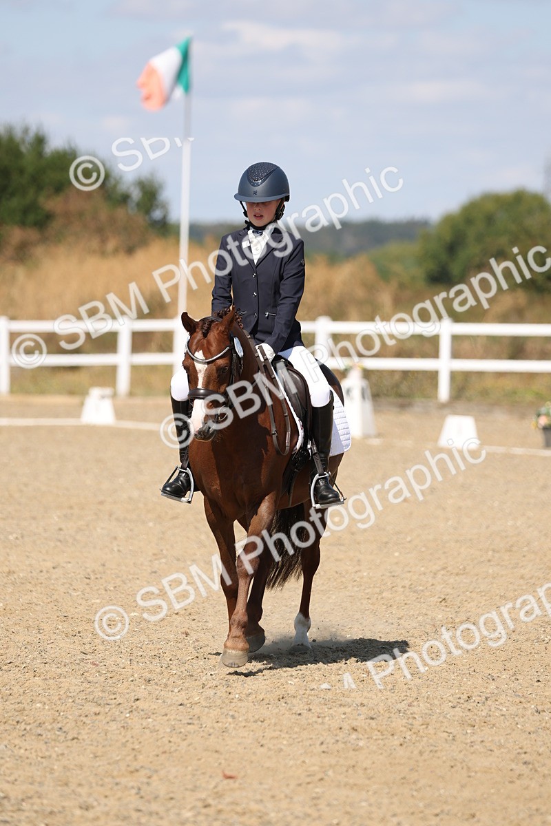 SBM_013717 - Class 1 - P5 Bronze 10.38.12.02