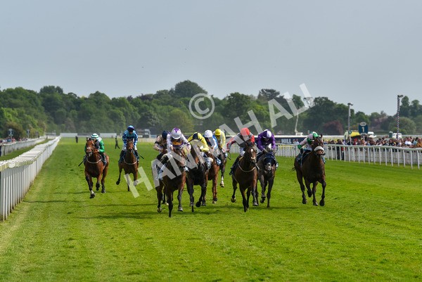 270523-Race 6-Quantum Impact-4536 - Race 6 4.25pm Royal Yorkshire Regiment Handicap