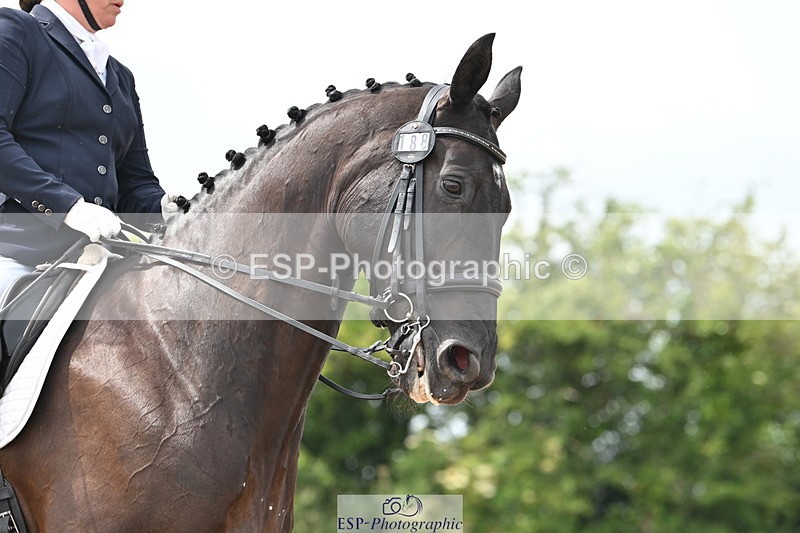 240621A-152830-04734 - Cls 13 BD Adv Medium 91